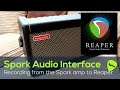 Using the positive grid spark amp as an audio interface to record audio in reaper