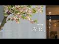 【Playlist】待ち遠しい、春の訪れに。 | ポップな洋楽 | 作業用BGM | 途中広告無し