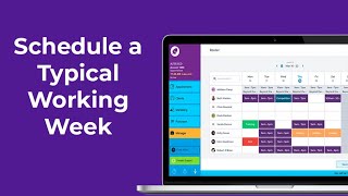 Schedule a Typical Working Week