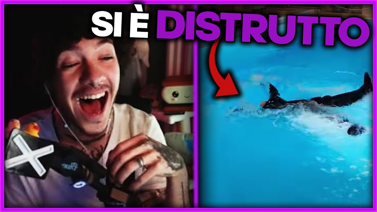 REACTION STRANE ad UNUSUAL MEMES