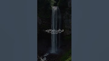 القارئ: سعد الغامدي|السورة: النساء؛الاية﴿واللهّ يَريَدٍ آنِ يَتٌوٌب عٌلَيَکْمً ﴾#قران_كريم #المصحف