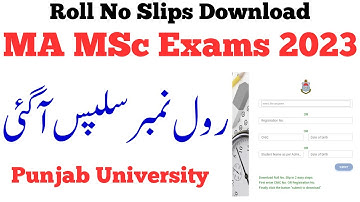 MA MSc Part 1 & 2 Annual 2023 Exams Roll No Slips Download PU