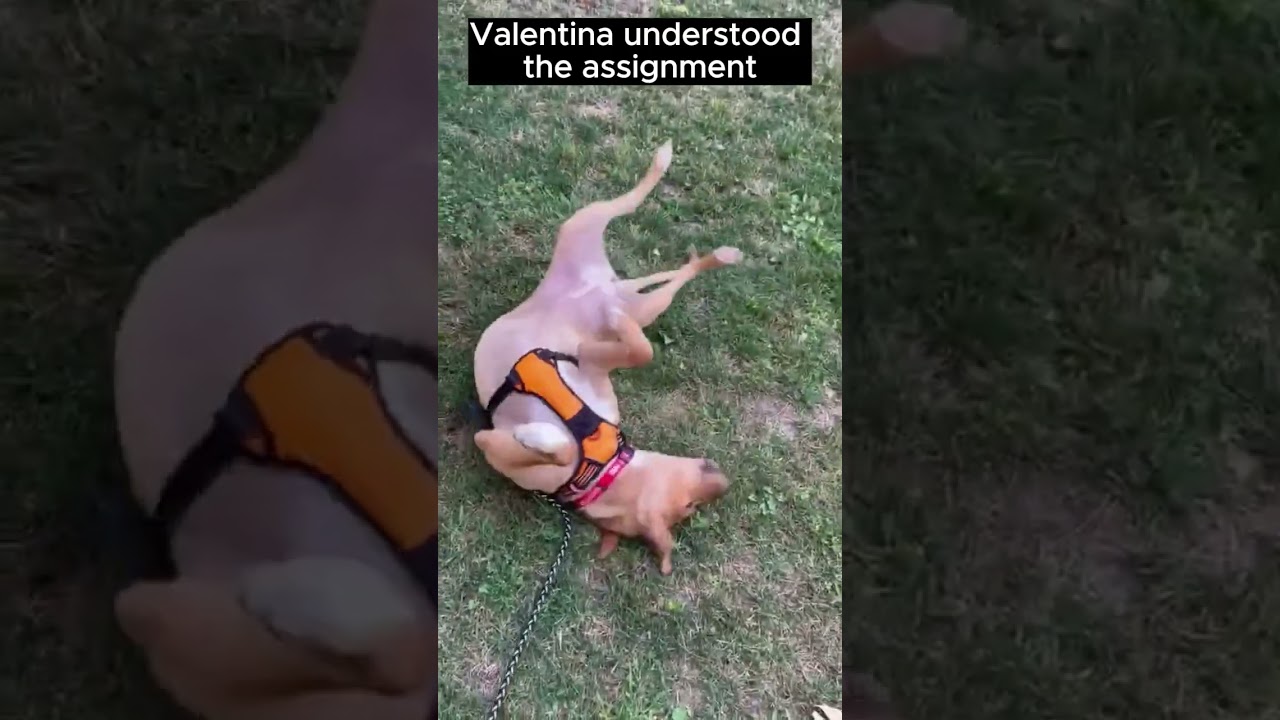 🧘‍♀️🎸The many sides of Valentina.