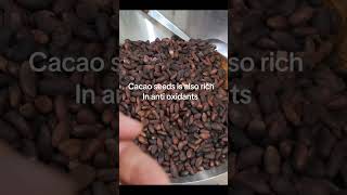 Your Fav. Chocolates Start With These Seeds