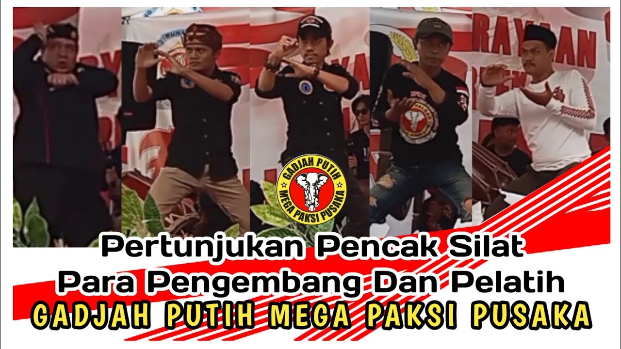 Pertunjukan Pencak Silat | Pengembang dan Pelatih Silat Gadjah putih mega paksi pusaka