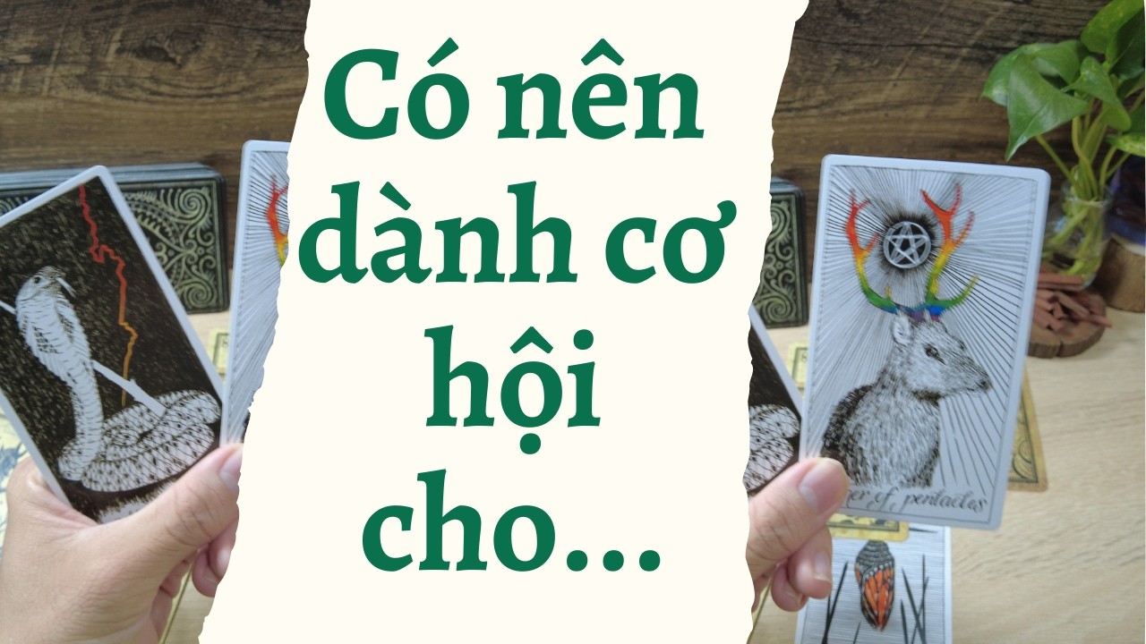 Có nên dành cơ hội cho ... Ex/Mập mờ/Đang ngáp ngáp/chưa gì luôn má - Khu vườn nhỏ của Andy