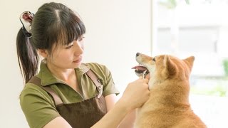 家庭でできる!歯石取りペンチを使った歯石の取り方