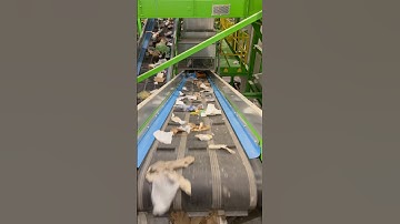 Waste sorting line conveyors in action #wastesorting #wastesortingline #wastemanagement #recycling