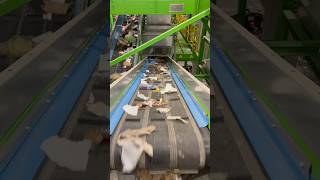 Waste sorting line conveyors in action #wastesorting #wastesortingline #wastemanagement #recycling