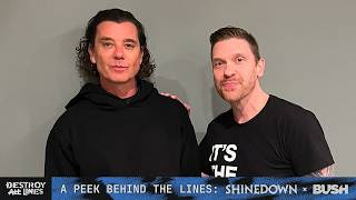 A Peek Behind The Lines: Shinedown x Bush