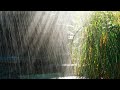 Sonido de lluvia en el estanque con música en la frecuencia de amor 528 Hz para una relajación total