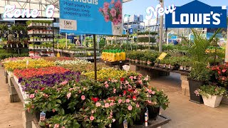 🌸 Lowe's Inventory May 2023 Summer Blooming Bulbs Flowering Shrubs Evergreen Perennials Annuals