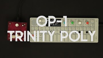 OP-1 + Trinity POLY - live minimalistic glitch jam