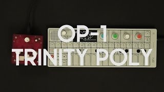 OP-1 + Trinity POLY - live minimalistic glitch jam