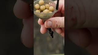 Cell! Cell! Cell! The perfect carp fishing bait! #shorts Baits Carp Fishing TV
