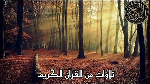 ﴿وَما خَلَقنَا السَّماءَ وَالأَرضَ وَما بَينَهُما لاعِبينَ﴾تلاوة مؤثرة من سورة الأنبياء