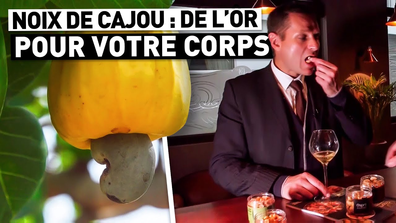NOIX DE CAJOU : DE L'OR POUR VOTRE CORPS