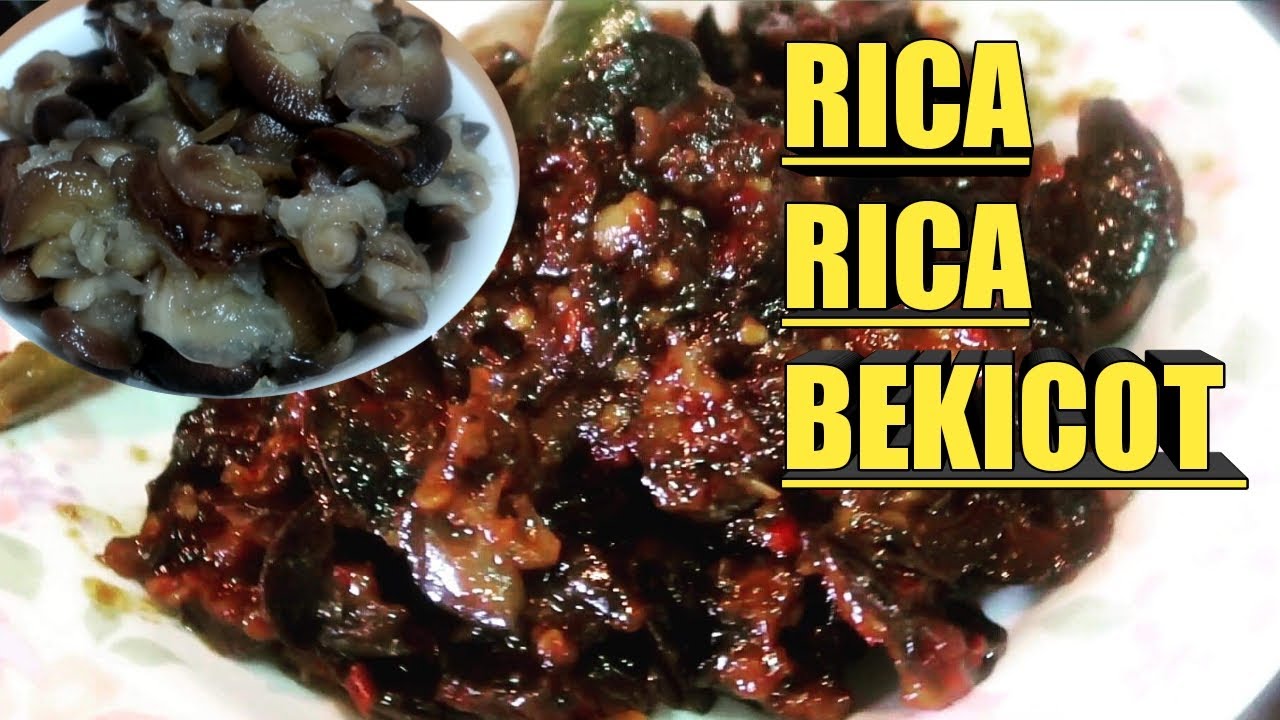 RICA RICA BEKICOT || CARA MASAK BEKICOT DI JAMIN KETAGIHAN #LMVlog