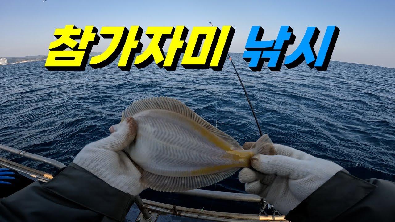 강원도 양양 참가자미 낚시 / 인구항 광해호