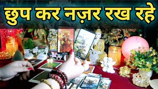 🌿💛छुप कर नज़र रख रहे 🧿 Current Feelings Next Action 💛🌿All Signs Collective Timeless Tarot💚