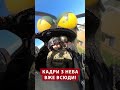 😱Пташки НА ПОЛЮВАННІ! #shorts