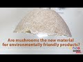 Turning Mushroom Roots Into Everyday Objects - Cool Science Project!