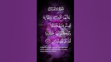 سورة الأنفال ياأيها الذين ءامنوا إذا لقيتم فئة فاثبتوا واذكروا الله كثيرا لعلكم تفلحون الاية ٤٥