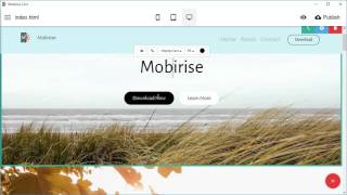 Celebrity PurityM Bootstrap 4 Template - Bootstrap 4 Theme Wealth