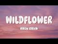 Billie Eilish WILDFLOWER Lyrics