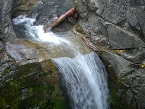 Christine Falls