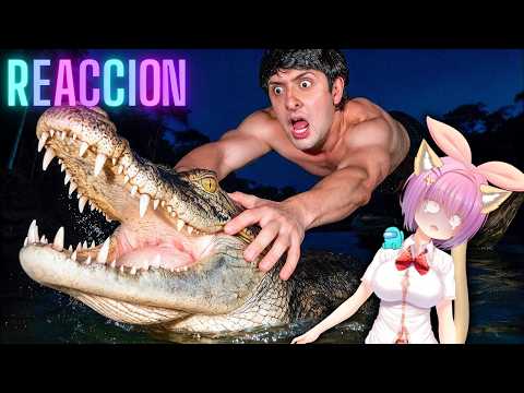 TheMomons reacciona a Jexs "Atrapando Caimanes con las manos en la noche" #vtuber