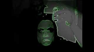 Miniatura del video "Danzig "Stalker Song" cover by Derr Weretard"