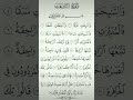 سورة النازعات بصوت الشيخ احمد العجمي 