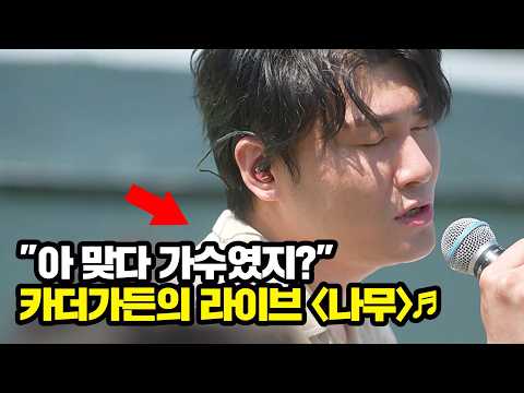 (개그맨 아닙니다) '감성 발라더' 카더가든의〈나무〉 라이브♬