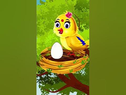 হাট্টিমাটিম টিম | Bangla Cartoon | Hattimatim Tim | Funny | Rupkothar