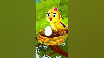 হাট্টিমাটিম টিম | Bangla Cartoon | Hattimatim Tim | Funny | Rupkothar Golpo | Tuni Story 20 #shorts