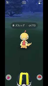 ズルッグ Youtube