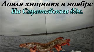 Спиннинг в ноябре на Саратовском вдх. / Щука и судак на джиг/ Поиск хищника на Волге/ Трофейная щука