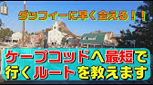 4k Tds 開園時トイストーリーマニアへの最短ルートご紹介 Youtube