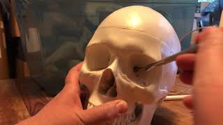 Skull Walkthrough