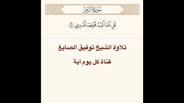 تلاوة الشيخ توفيق الصايغ من سورة الزمر