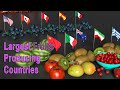 Largest Fruits Producing Countries in the World | Top 5 Fruits Producing Country per Fruits