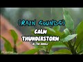Ulisten hwg  rain soundsthe best calm thunderstorm in the junglerain study lofi relax
