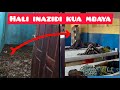 Hôpital Ya Geuzwa Nyumba Ya Ngombe ITOMBWE