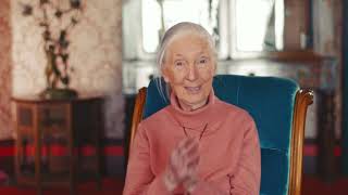 Meet the 2021 Templeton Prize Winner: Dr. Jane Goodall