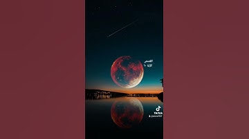 الآية ستون من سورة القصص تلاوة خاشعة للقارئ عبدالملك الراجح #quran