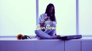 Sunflower - Sierra Burgess Is A Loser| Sonata Kay ✿