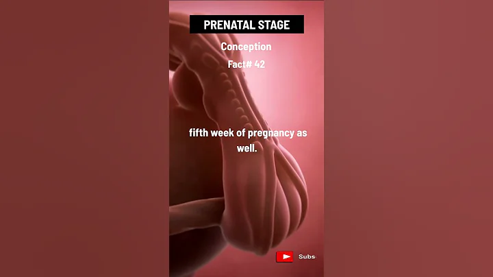 The eyes, ears, and nose begin to form during the fifth week of pregnancy. 👇👇👇 - DayDayNews