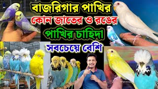 বাজরিগার পাখির কোন জাতের ও রঙের পাখির চাহিদা সবচেয়ে বেশি | budgerigar mutation || Birds of village