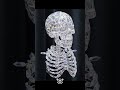 Reve VS Nano Banana | Diamond Skeleton Portrait